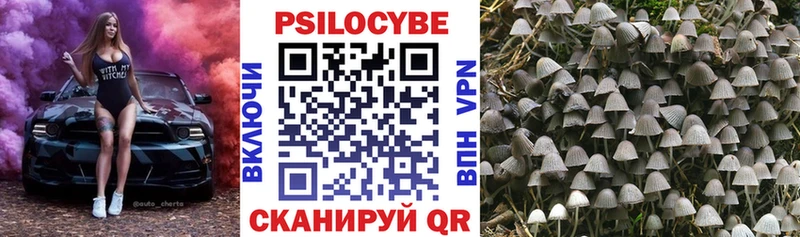 Купить закладки  Осташков  Псилоцибиновые грибы Psilocybine cubensis 